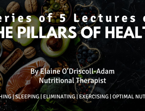 Pillars of Health Lecture Series | Allihies | Elaine O’Driscoll-Adam