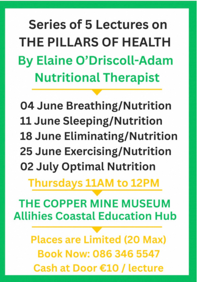 Series of 5 Lectures on The Pillars of Health by Elaine O'Driscoll-Adam